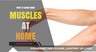 Effective Home Exercises to Strengthen and Grow Your Hand Muscles