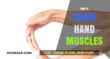 Effective Hand Muscle Building Techniques for Strength and Dexterity