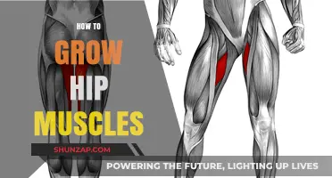 Effective Strategies to Strengthen and Grow Your Hip Muscles Fast