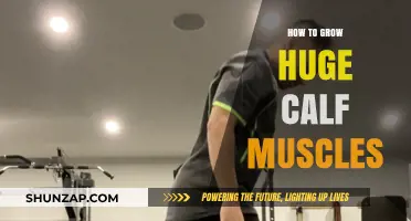 Unlocking the Secrets to Massive Calf Growth: A Comprehensive Guide