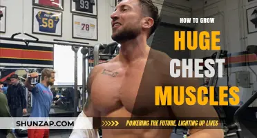 Build Massive Chest Muscles: Proven Workouts and Tips for Size