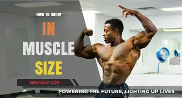 Effective Strategies for Building Muscle Size and Strength Fast