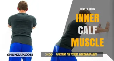 Strengthening Your Inner Calves: A Comprehensive Guide to Muscle Growth