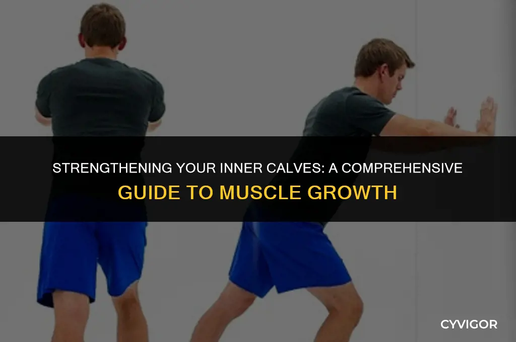 how to grow inner calf muscle