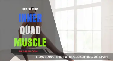 Effective Strategies to Strengthen and Grow Your Inner Quad Muscles