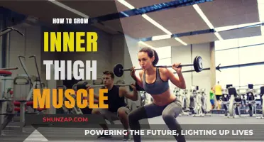 Effective Exercises to Build and Strengthen Inner Thigh Muscles Fast