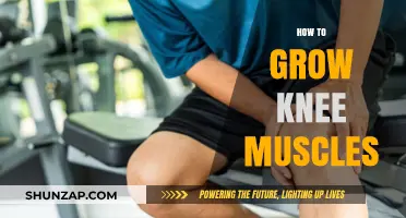 Strengthen Your Knees: Effective Exercises to Build Muscle and Stability