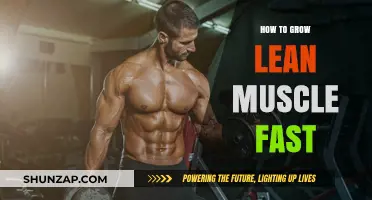 Effective Strategies for Rapid Lean Muscle Growth and Strength