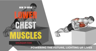 Effective Lower Chest Workouts: Sculpting a Balanced and Powerful Chest