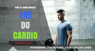 Maximize Gains: Balancing Muscle Growth and Effective Cardio Strategies