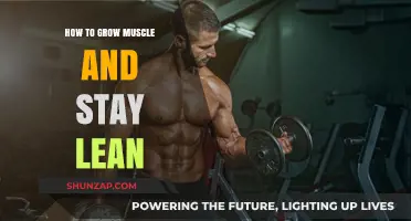 Build Muscle, Stay Lean: Effective Strategies for a Shredded Physique
