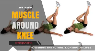 Effective Strategies to Build Muscle Around Your Knees Safely