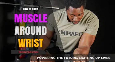Effective Wrist Muscle Building: Strengthen and Tone Your Forearms Fast
