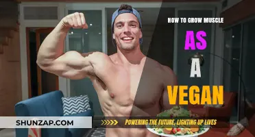Plant-Powered Gains: A Vegan's Guide to Building Muscle Mass
