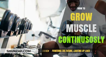 Sustainable Muscle Growth: Strategies for Continuous Strength and Size Gains