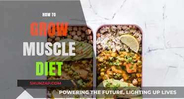 Fuel Your Gains: The Ultimate Muscle-Building Diet Guide