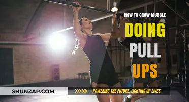 Build Strength and Muscle with Effective Pull-Up Techniques