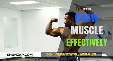 Effective Muscle Growth Strategies: Nutrition, Training, and Recovery Tips