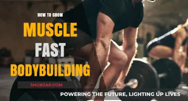 Effective Strategies for Rapid Muscle Growth in Bodybuilding