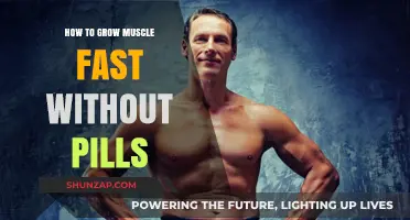 Effective Strategies for Rapid Muscle Growth Without Supplements