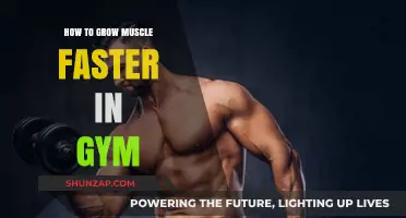 Maximize Muscle Growth: Proven Gym Strategies for Faster Results