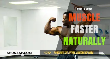 Accelerate Natural Muscle Growth: Proven Strategies for Faster Results
