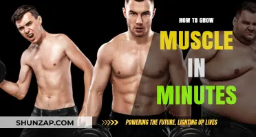 Quick Muscle Growth: Effective Techniques for Rapid Results in Minutes