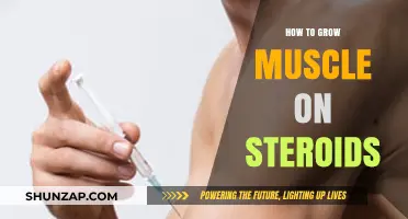 Maximizing Muscle Growth: Safe Steroid Use and Training Strategies