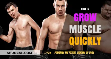 Fast-Track Muscle Growth: Proven Strategies for Quick Strength Gains