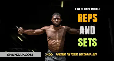 Maximize Muscle Growth: Optimal Reps and Sets Strategies Revealed