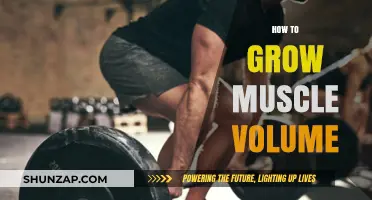 Effective Strategies for Building Muscle Volume and Strength Fast