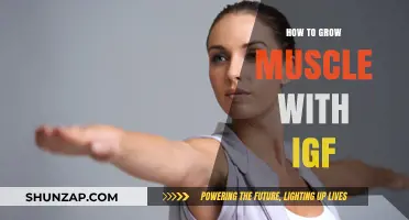 Maximize Muscle Growth: Effective IGF Strategies for Strength & Size