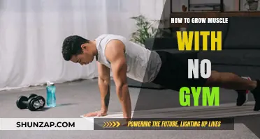 Build Muscle at Home: Effective No-Gym Workout Strategies