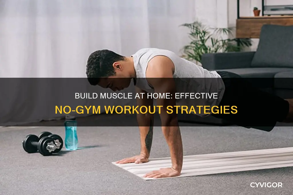 how to grow muscle with no gym