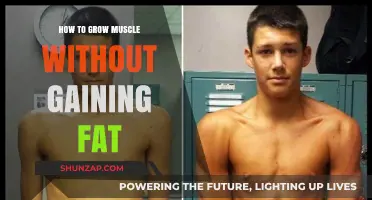 Lean Muscle Growth: Strategies to Build Muscle Without Adding Fat