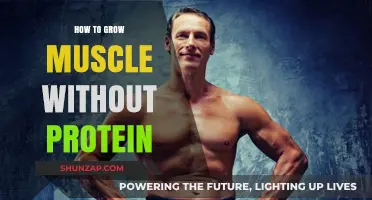 Building Muscle Naturally: Effective Strategies Without Protein Supplements