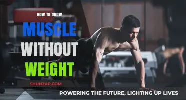 Build Strength Naturally: Muscle Growth Without Weights or Gyms