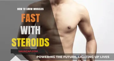 Accelerate Muscle Growth: Steroids' Role in Rapid Bodybuilding Results
