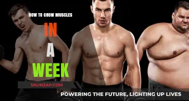 Quick Muscle Growth: Effective Strategies for Visible Results in a Week
