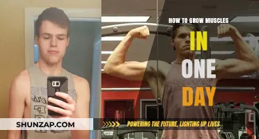 Quick Muscle Growth: One-Day Strategies for Visible Results
