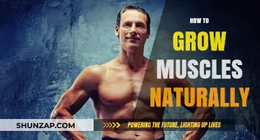 Natural Muscle Growth: Effective Strategies for Strength and Size