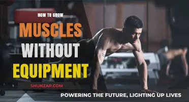 Build Strength Anywhere: Muscle Growth Without Equipment Tips