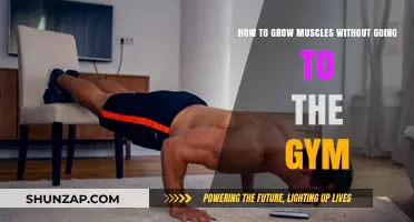 Build Muscle at Home: Effective Strategies Without Gym Equipment