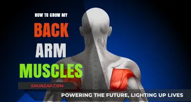 Building Strong Back Arms: A Comprehensive Guide to Muscle Growth