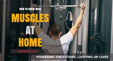 Effective Home Exercises to Strengthen and Grow Your Neck Muscles