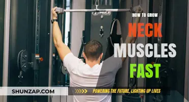 Effective Neck Muscle Building: Quick Tips for Strength and Definition