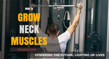 Strengthen Your Neck: Effective Exercises for Building Powerful Muscles