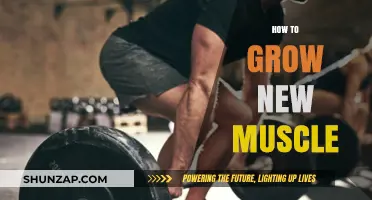 Effective Strategies for Building New Muscle: A Comprehensive Guide