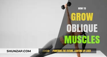 Sculpt Strong Oblique Muscles: Effective Exercises and Tips for Definition