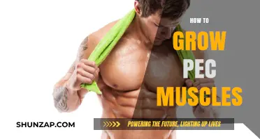 Effective Pec Muscle Growth: Proven Techniques for a Stronger Chest